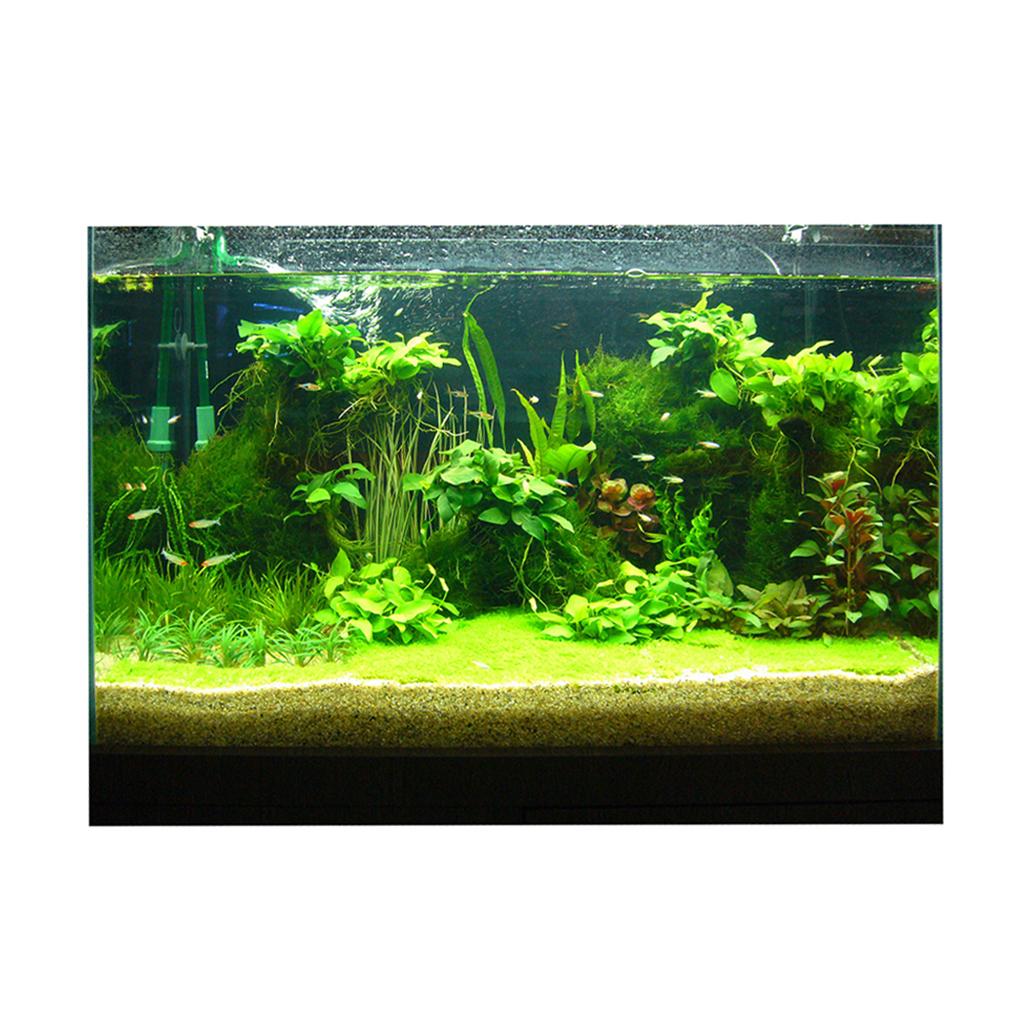 Planted Aquarium Wallpaper - 片面の粘着性の水族館の背景、背景の装飾、植物、魚のタンク、爬虫類、テラリウム、ビバリウム