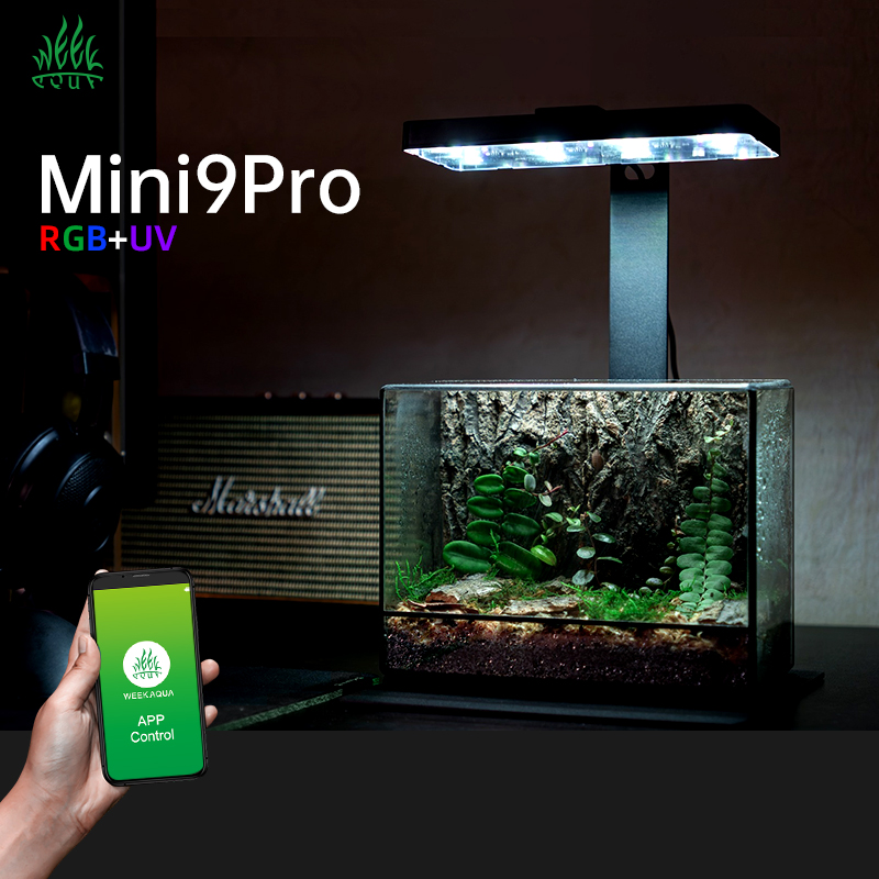 Aquarium Plants For Sale - ミニ9proナノテラリウムライトUSB屋内植物育成ランプスマートフルスペクトルLED水槽ライト（植物水槽用）大特価