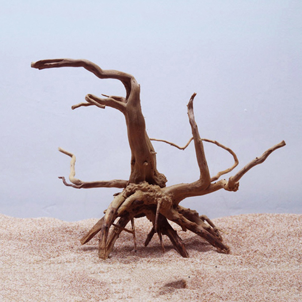 Aquarium Plants For Sale - 4個の天然流木水族館装飾品、淡水魚水槽用、本物の木の枝、ユニークな形状とサイズ、植栽に最適