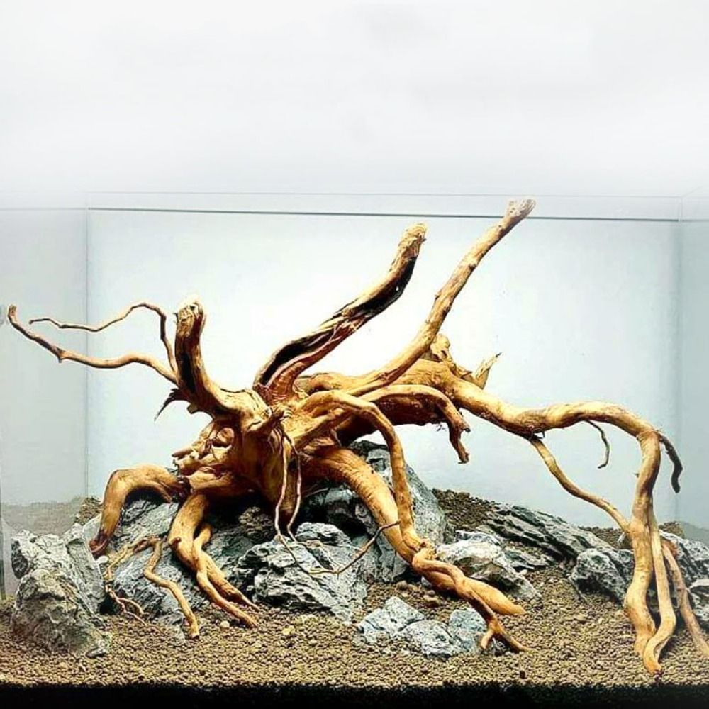 Aquarium Plant Guide - 天然木のトランクの装飾水族館の装飾流木の枝造園の装飾品水槽の装飾用品