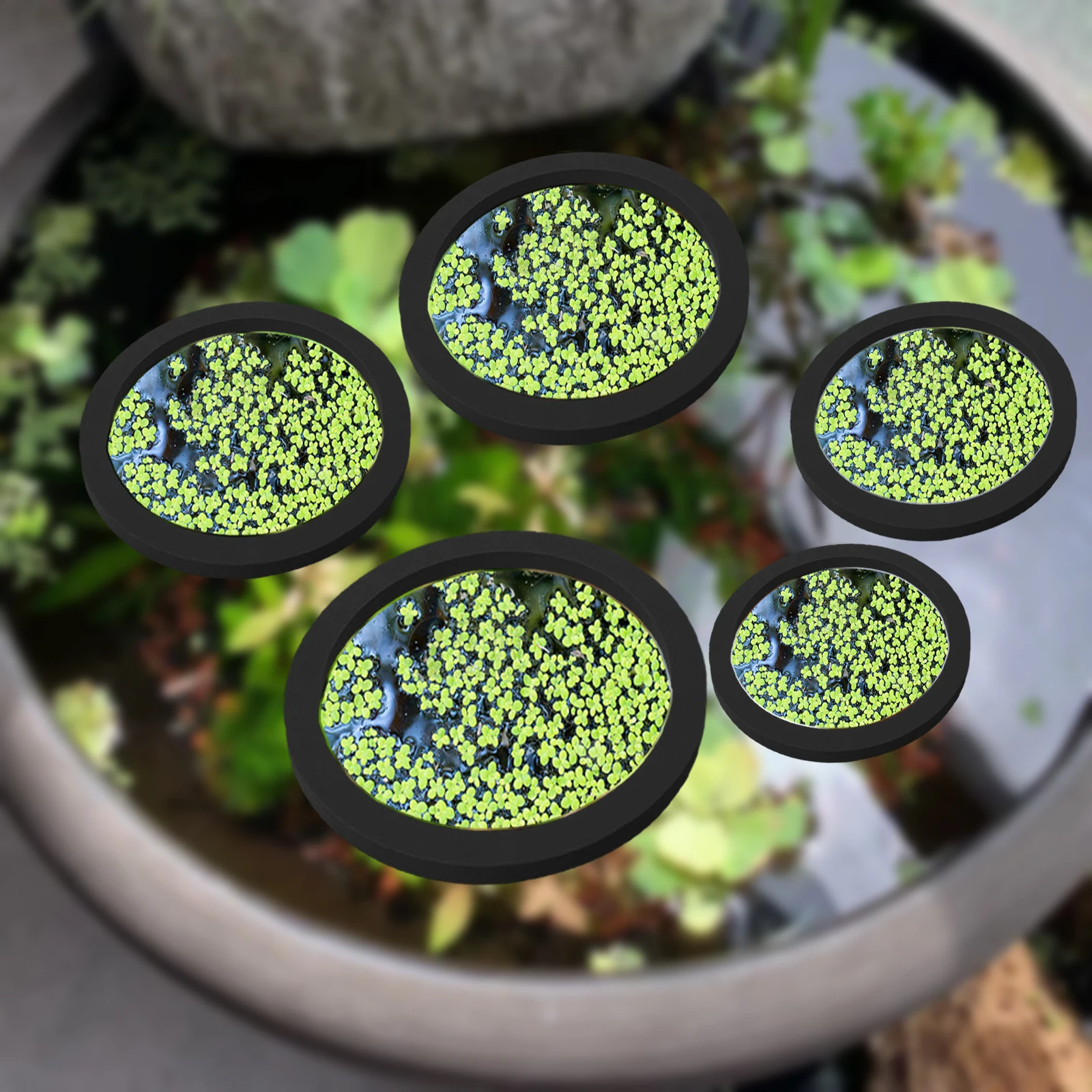 Aquarium Planted Fish - 5 個 EVA 魚給餌リング水族館浮遊植物囲い水槽フロート植物バリア水族館の池 Accessorie 植物リング