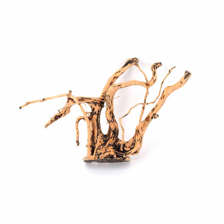 Aquarium Plants For Sale - 卸売特価 天然装飾品 水槽流木 水草