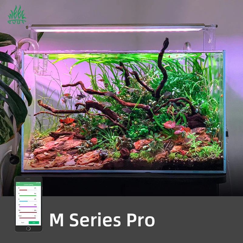 Aquarium Plants For Sale - ZXY ホットセールズ ウィーク アクア M1200Pro RGB