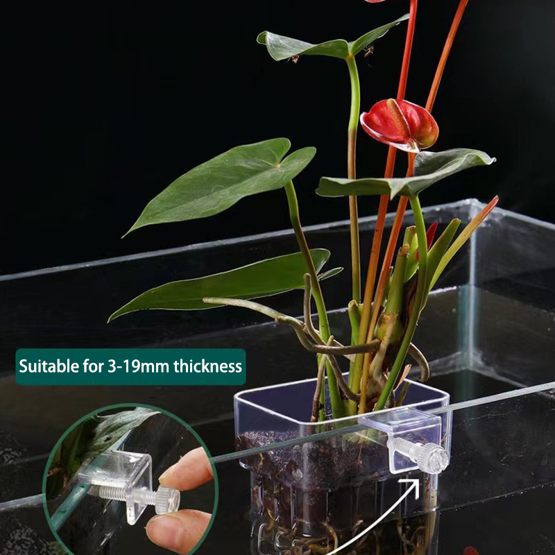 Aquarium Planted Fish - 多機能フィッシュ水族館、水草植栽カップ、魚の分離ボックス、水耕植物、造園