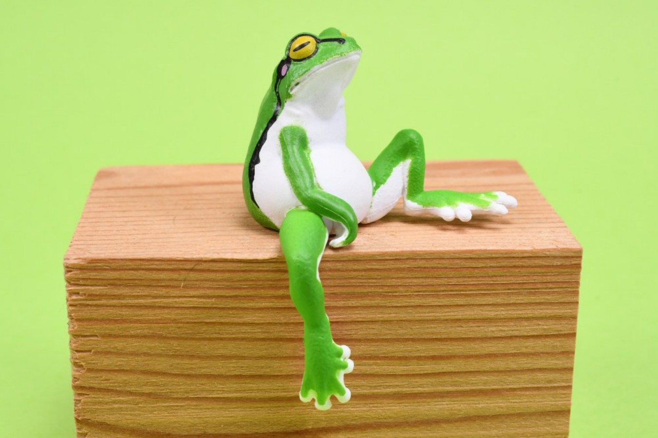 YELL カプセルトイ かわいい休憩するツリーフロッグ 一緒 - Aquarium Plant Guide のレビューと価格