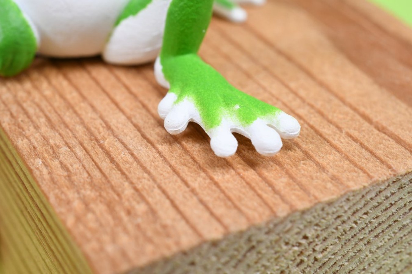 YELL カプセルトイ かわいい休憩するツリーフロッグ 一緒 - Aquarium Plant Guide のレビューと価格