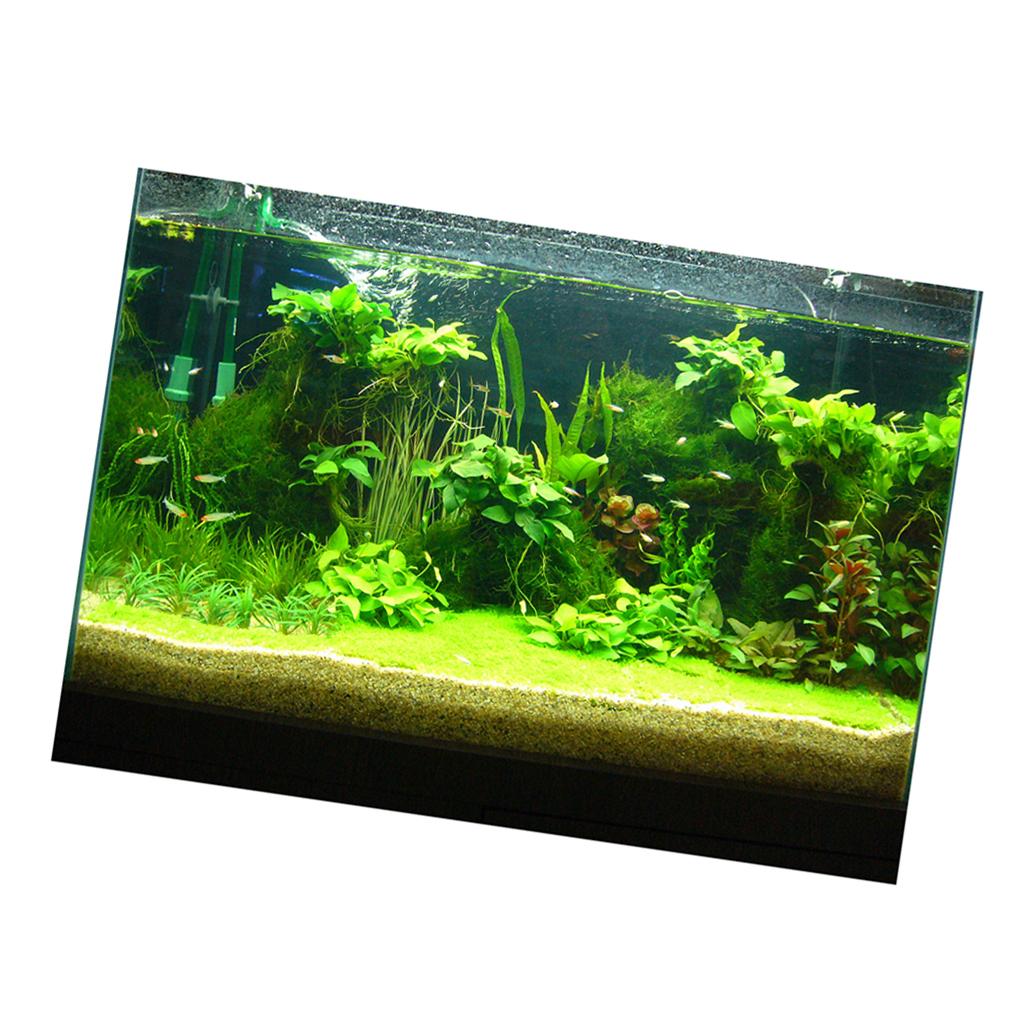 片面の粘着性の水族館の背景、背景の装飾、植物、魚のタンク、爬 - Planted Aquarium Wallpaper のレビューと価格