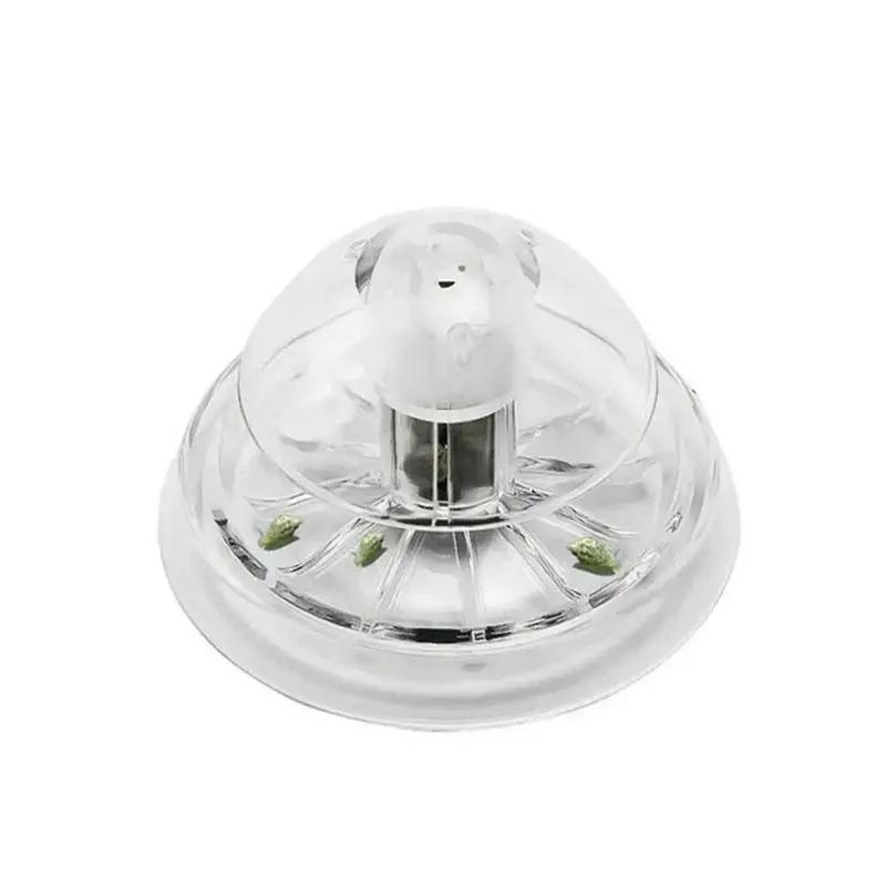 2026年新発売 6/8CM 透明プラスチック製カタツムリ捕 - Aquarium Planted Fish のレビューと価格
