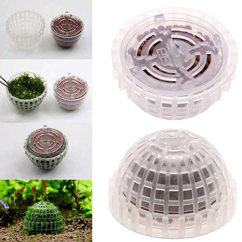水槽用飾り物、水生ペット用品、モスボール、生きた植物、フィル - Aquarium Plants For Sale のレビューと価格