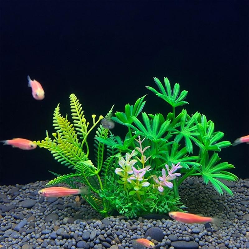 人工水槽装飾植物魚の装飾水族館造園シミュレーション水生植物装 - Aquarium Plants For Sale のレビューと価格