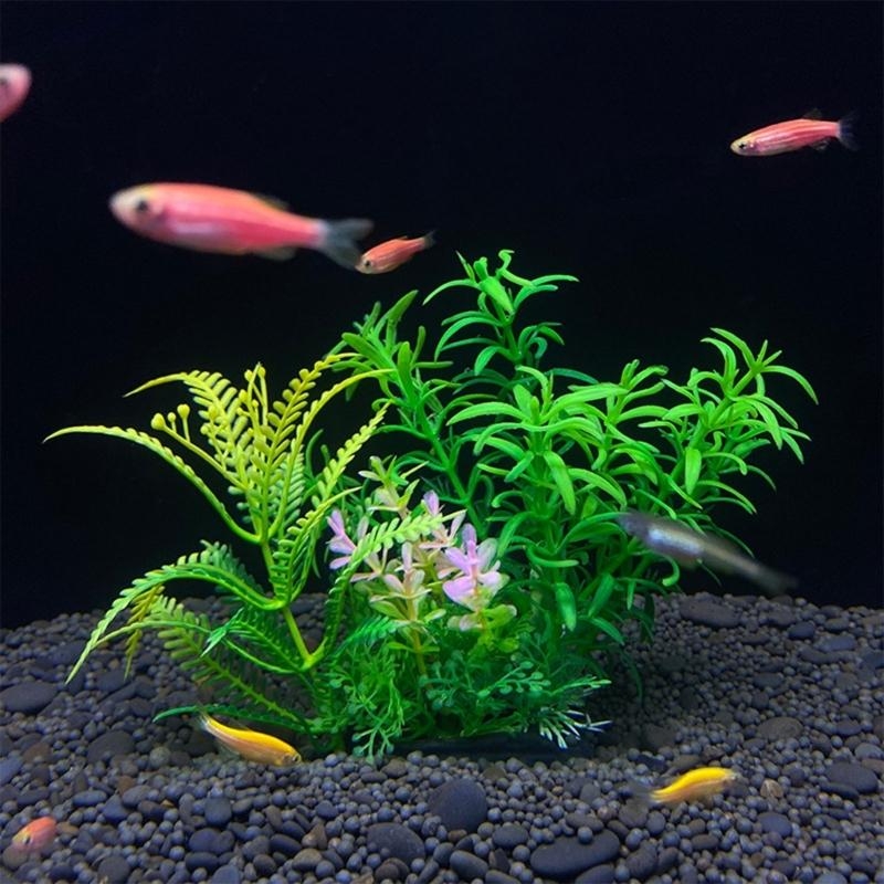 人工水槽装飾植物魚の装飾水族館造園シミュレーション水生植物装 - Aquarium Plants For Sale のレビューと価格