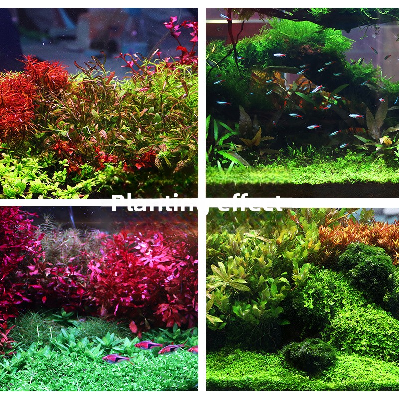 SYSENCIAGA 水草水槽用培地土壌-栄養豊富な底砂-水 - Aquarium Planted Tank Fertilizer のレビューと価格