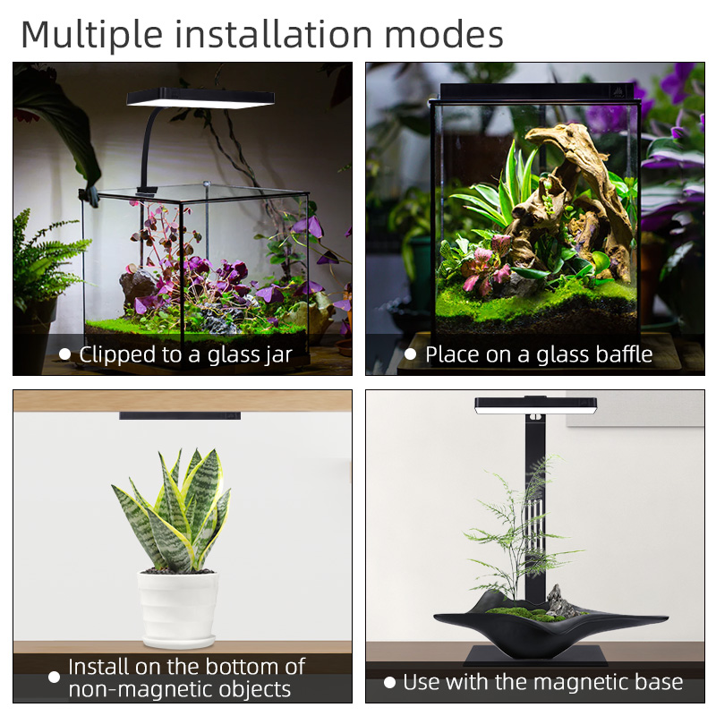 ミニ9proナノテラリウムライトUSB屋内植物育成ランプスマ - Aquarium Plants For Sale のレビューと価格