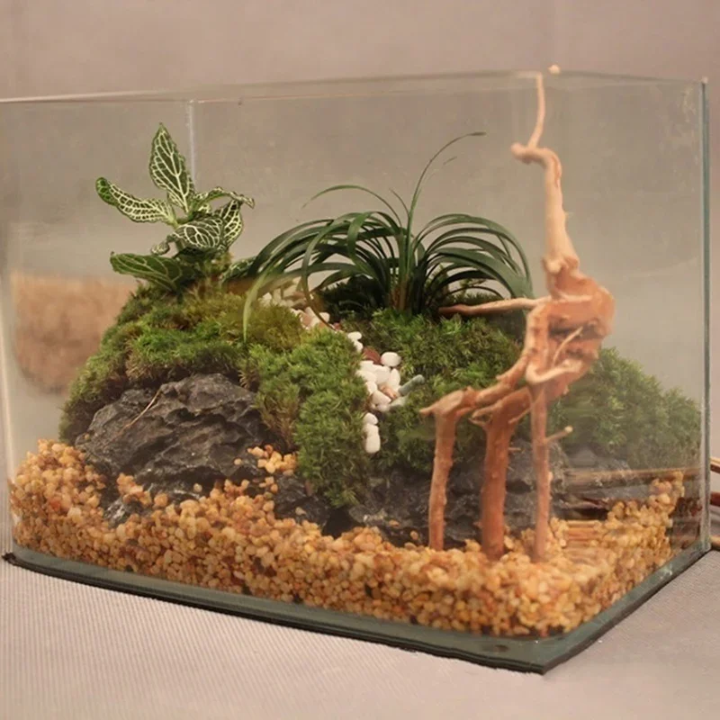 天然木の幹流木水槽魚タンク爬虫類シリンダー根植物木製装飾飾り - Aquarium Plant Guide のレビューと価格