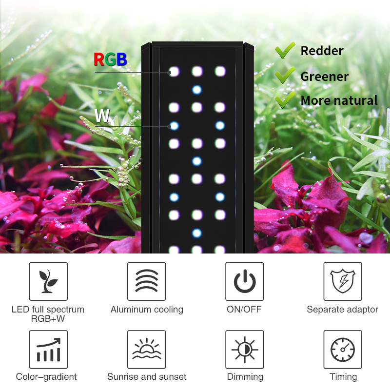 ZXY ホットセール WEEKAQUA V400 WRGB  - Aquarium Plants For Sale のレビューと価格
