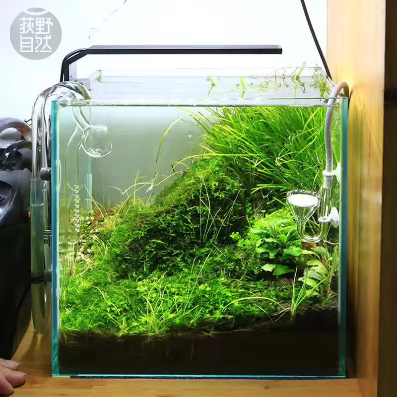 Chihiros C シリーズ ADA スタイル植物成長 L - Aquarium Plant Growing のレビューと価格