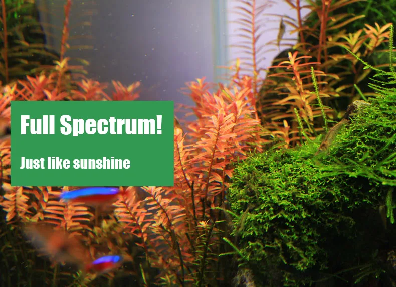 Chihiros C シリーズ ADA スタイル植物成長 L - Aquarium Plant Growing のレビューと価格