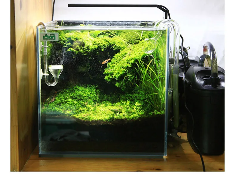Chihiros C シリーズ ADA スタイル植物成長 L - Aquarium Plant Growing のレビューと価格
