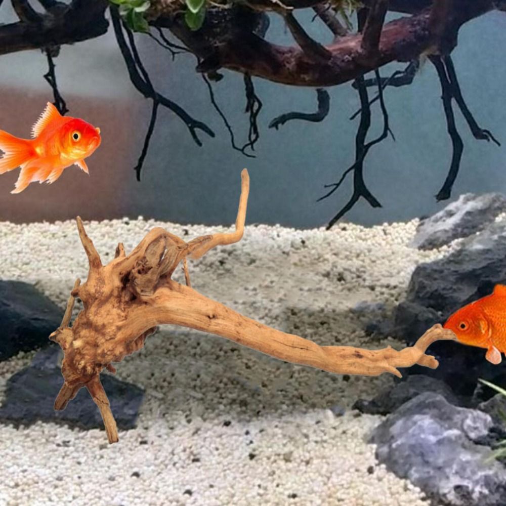 天然木のトランクの装飾水族館の装飾流木の枝造園の装飾品水槽の - Aquarium Plant Guide のレビューと価格