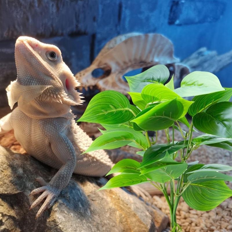 人工吊り植物魚水族館の装飾ペットの装飾の生息地 - Aquarium Planted Fish のレビューと価格
