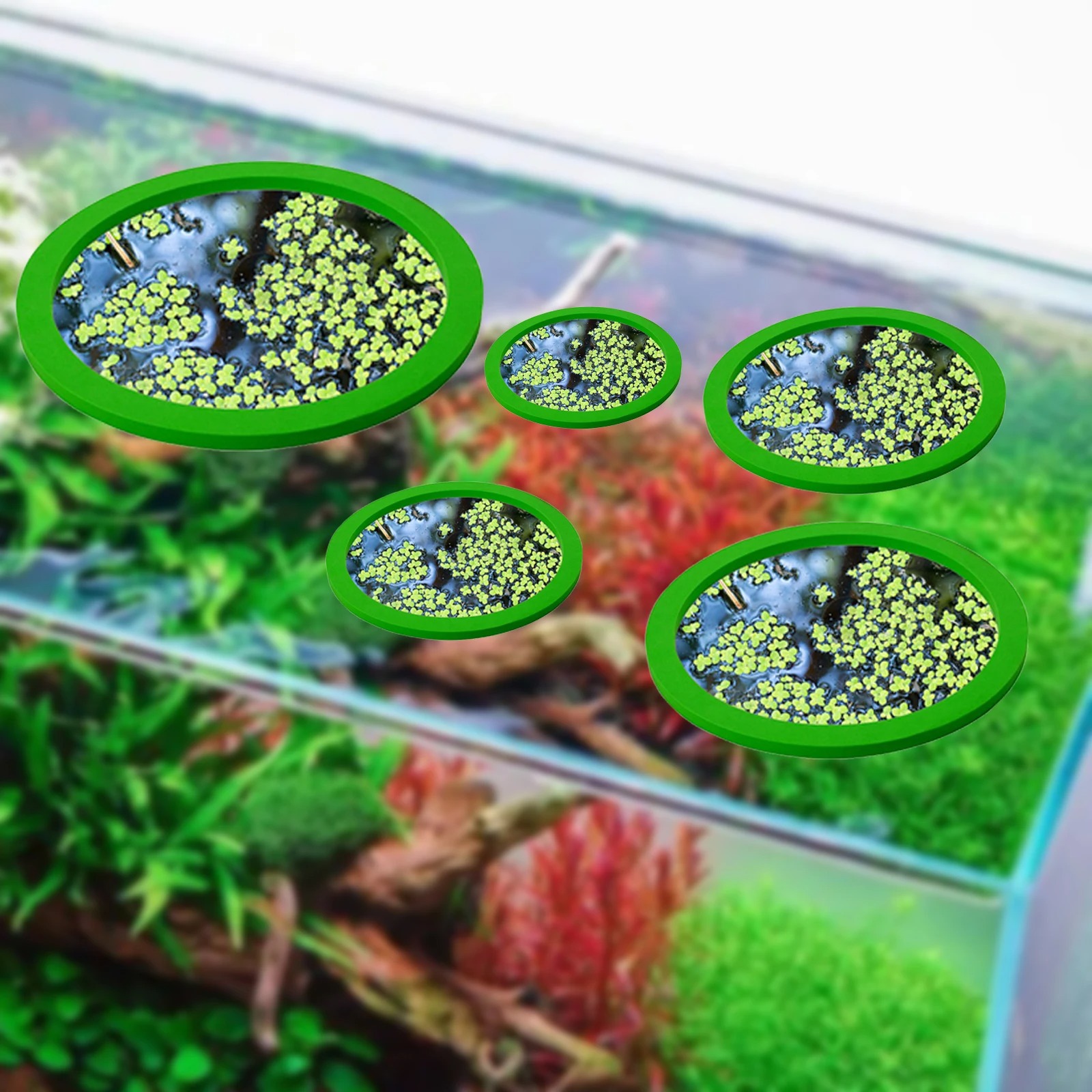 5 個 EVA 魚給餌リング水族館浮遊植物囲い水槽フロート植 - Aquarium Planted Fish のレビューと価格