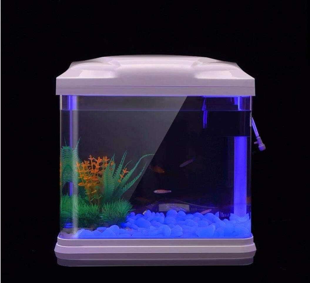 水槽岩グローブルー小石庭用水槽水族館植木鉢盆栽歩道私道 - Aquarium Planted Fish のレビューと価格