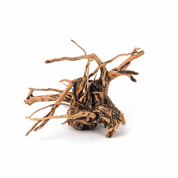 卸売特価 天然装飾品 水槽流木 水草 - Aquarium Plants For Sale のレビューと価格