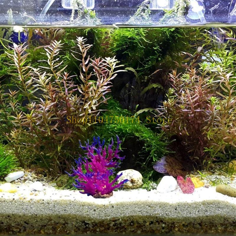 人工樹木装飾植物カラフルな木の装飾品植物造園トップセール - Aquarium Plants For Sale のレビューと価格