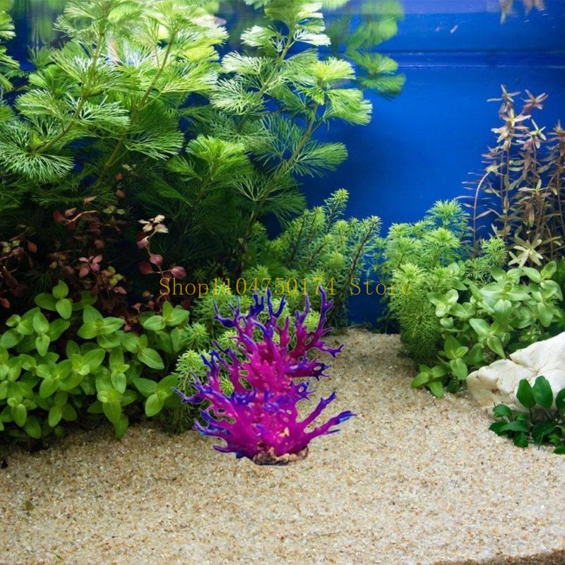 人工樹木装飾植物カラフルな木の装飾品植物造園トップセール - Aquarium Plants For Sale のレビューと価格