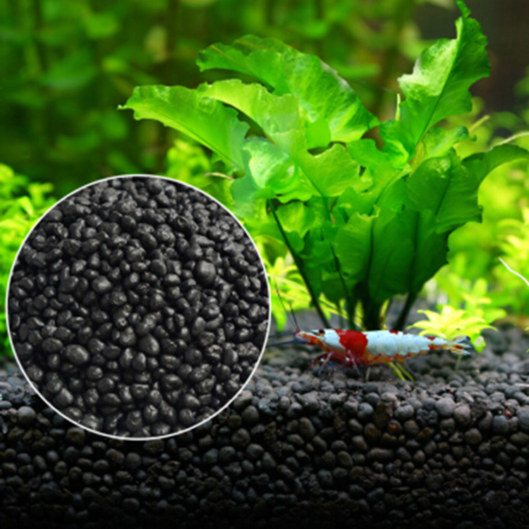 水族館植物の種子,水槽の素材,砂,土壌肥料,魚の手入れ,淡水 - Aquarium Planted Fish のレビューと価格