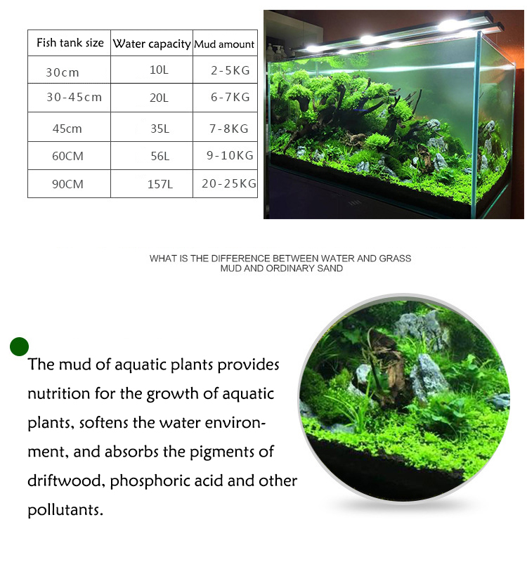 水族館植物の種子,水槽の素材,砂,土壌肥料,魚の手入れ,淡水 - Aquarium Planted Fish のレビューと価格