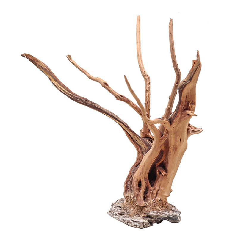 家のための木の装飾品,1ピース,造園,魚の木,家のための根の - Aquarium Plant Guide のレビューと価格