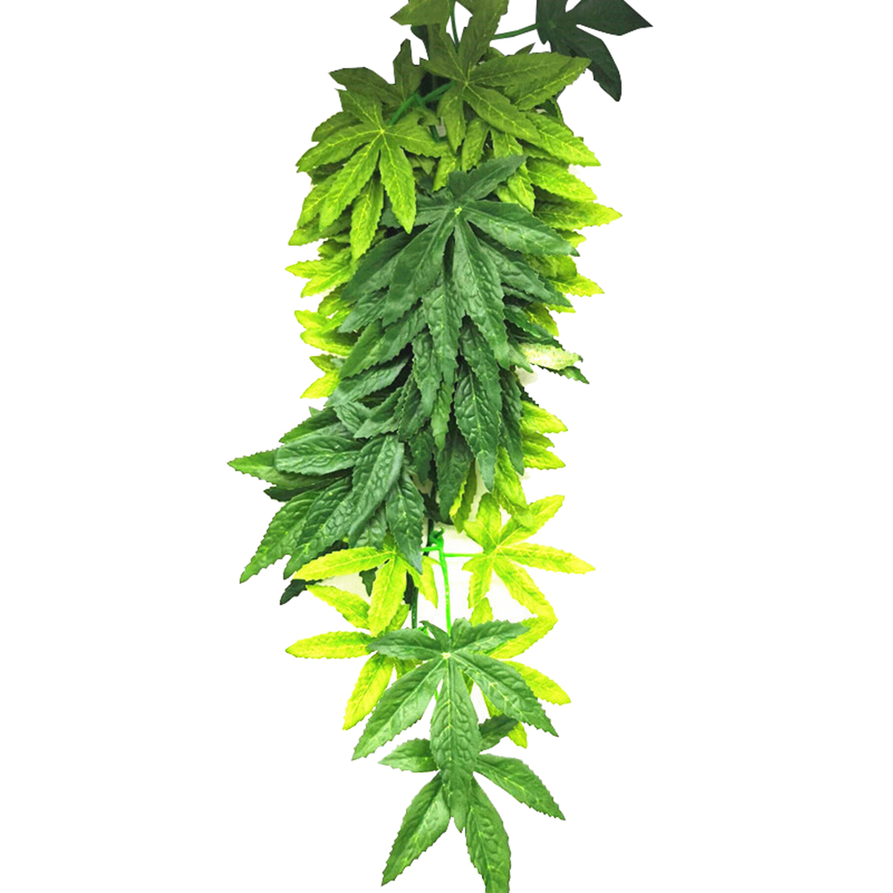 熱い販売 30/40/50 センチメートル水族館爬虫類水槽耐 - Aquarium Plants For Sale のレビューと価格
