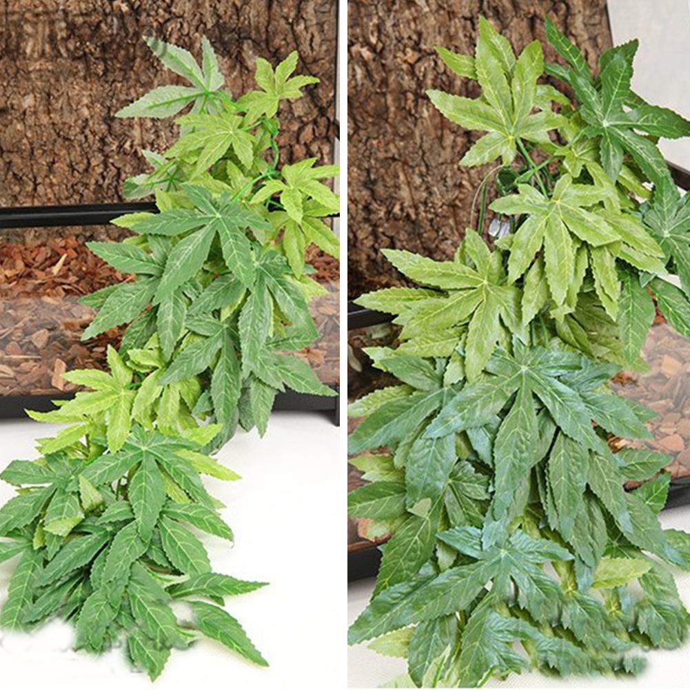 熱い販売 30/40/50 センチメートル水族館爬虫類水槽耐 - Aquarium Plants For Sale のレビューと価格