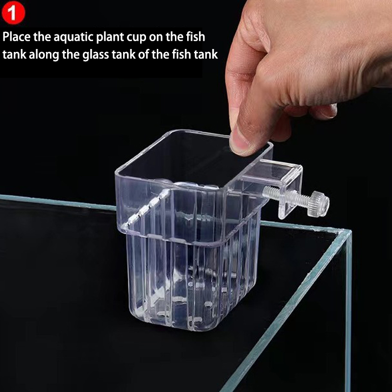 多機能フィッシュ水族館、水草植栽カップ、魚の分離ボックス、水 - Aquarium Planted Fish のレビューと価格