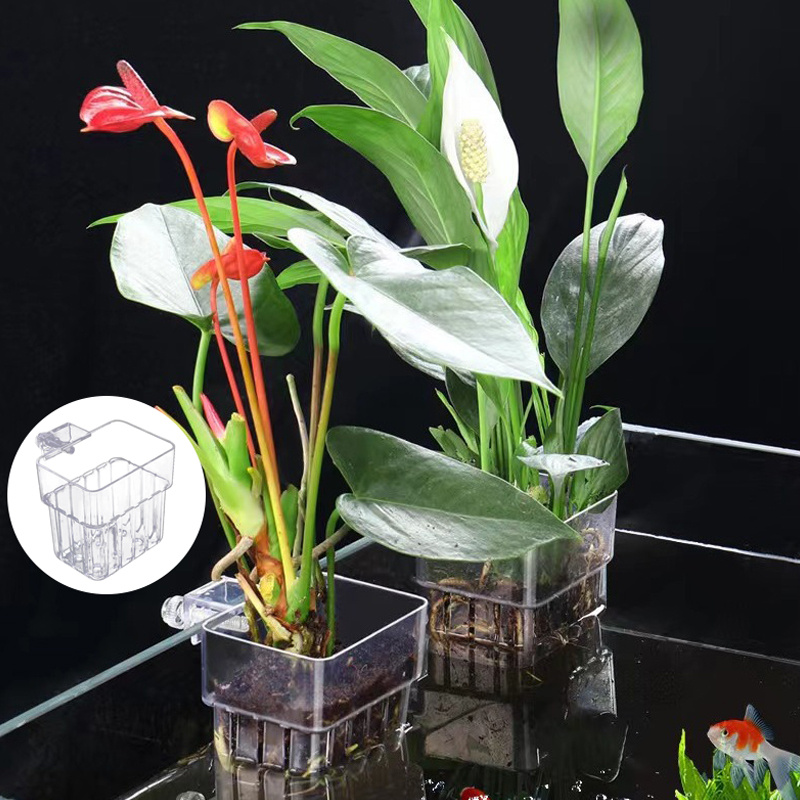 多機能フィッシュ水族館、水草植栽カップ、魚の分離ボックス、水 - Aquarium Planted Fish のレビューと価格