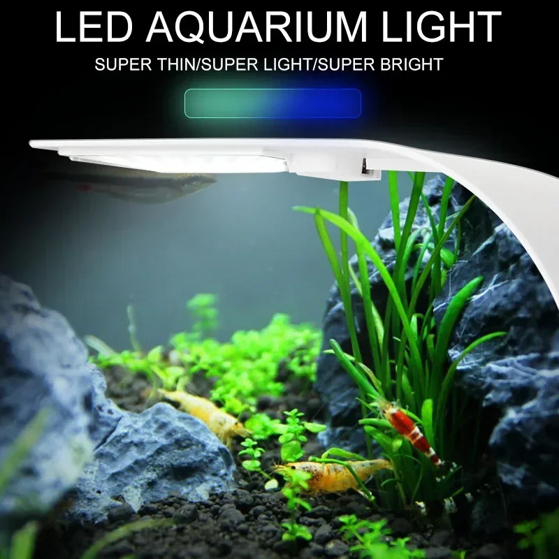 超薄型 LED 水族館ライト 5 ワット/10 ワット/15 - Aquarium Plant Growing のレビューと価格