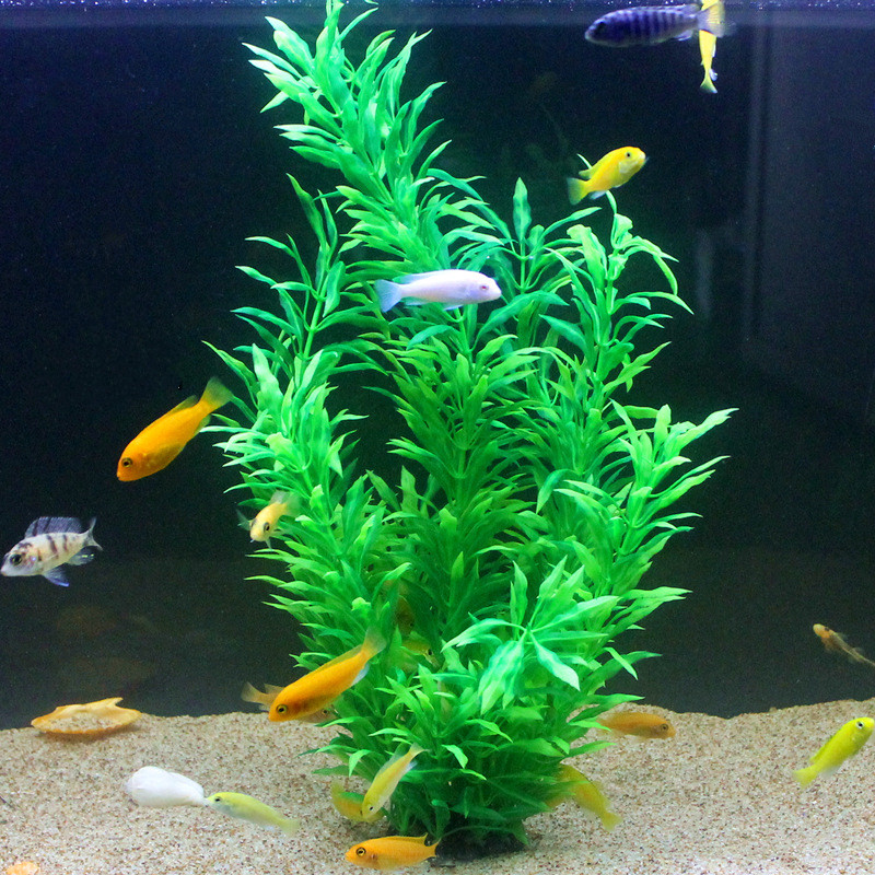人工水槽50cm,珍しい植物,水族館,偽の竹の葉,水草,プラ - Aquarium Planted Fish のレビューと価格