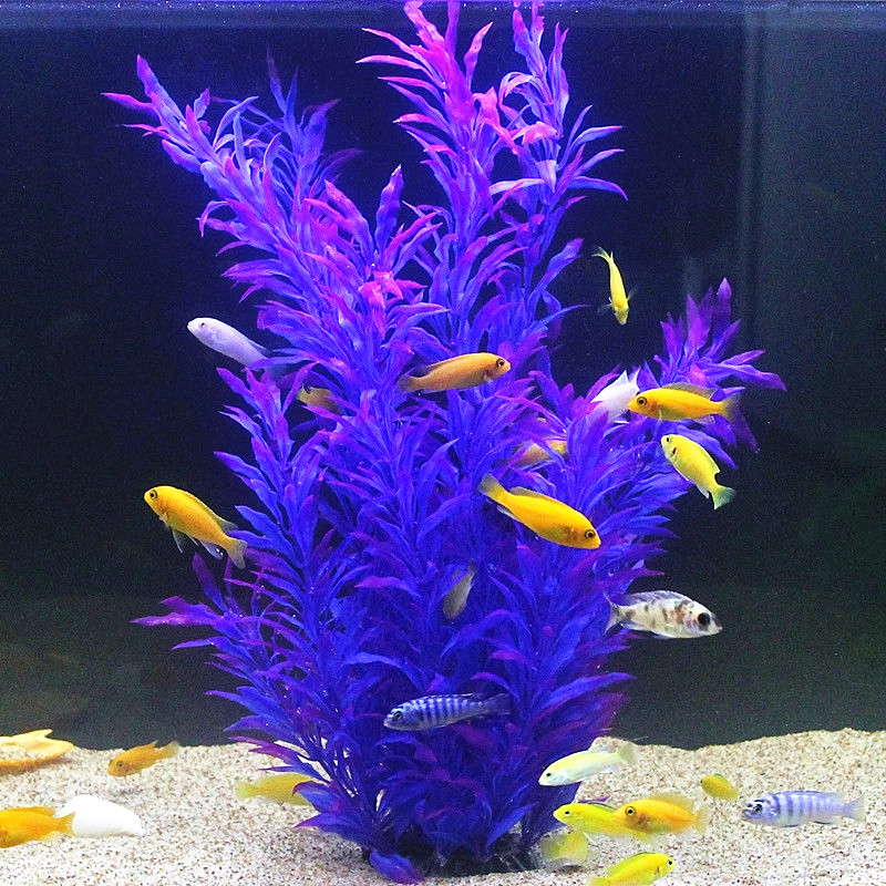 人工水槽50cm,珍しい植物,水族館,偽の竹の葉,水草,プラ - Aquarium Planted Fish のレビューと価格
