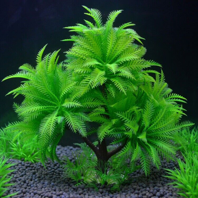 水族館装飾シミュレーション植物水生水草水中人工葉木の植物水槽 - Aquarium Plant Guide のレビューと価格