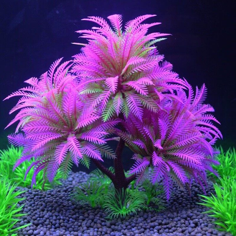 水族館装飾シミュレーション植物水生水草水中人工葉木の植物水槽 - Aquarium Plant Guide のレビューと価格